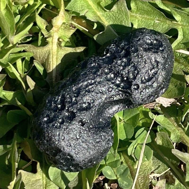 チベタンテクタイト8