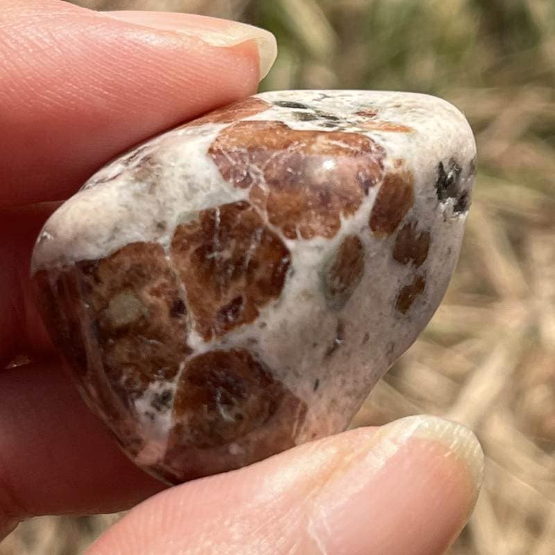 ガーネット・イン・ライムストーン・タンブル6