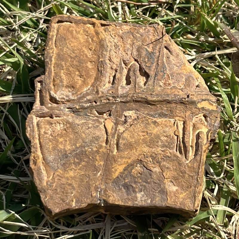 バカリストーン（ツェサイト）（超レア）大4