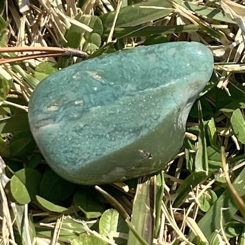 ムトロライト・タンブル8