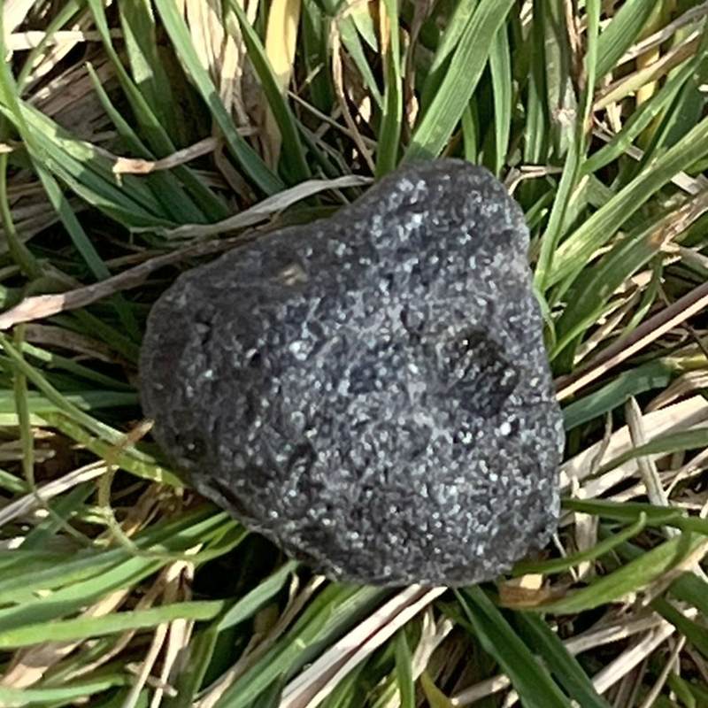 アグニマニタイト（パール・オブ・ディヴァイン・ファイアー）7