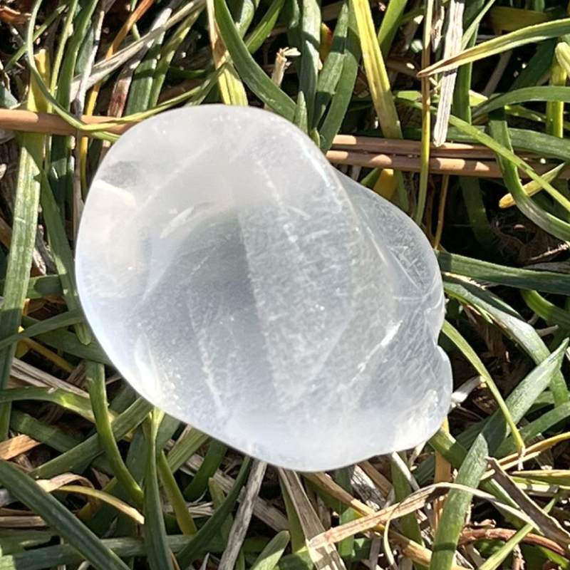 メタモルフォシス・タンブル4