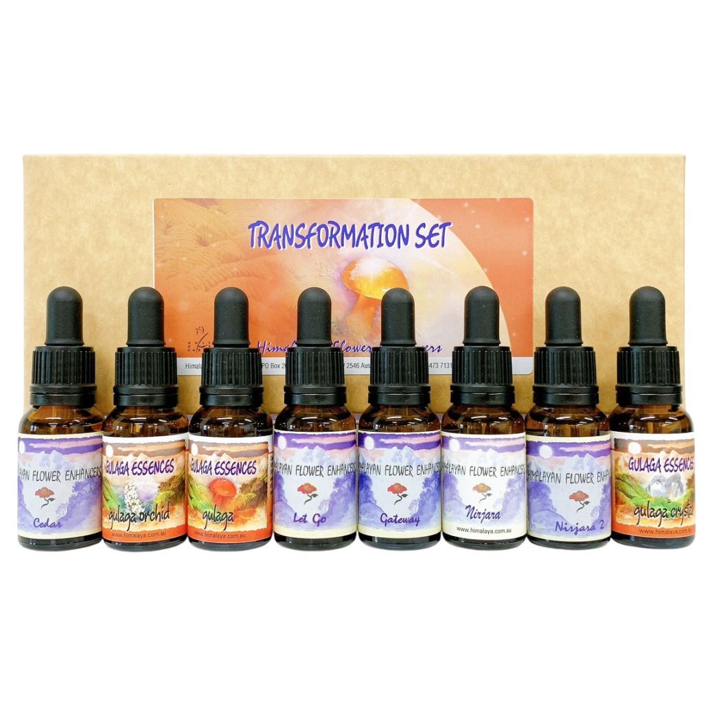 トランスフォーメーションキット