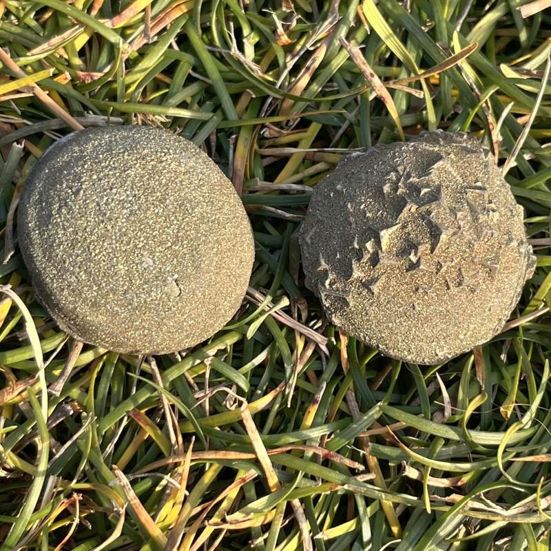 レインボーボージャイ（ボージー）ストーン(ペア）６