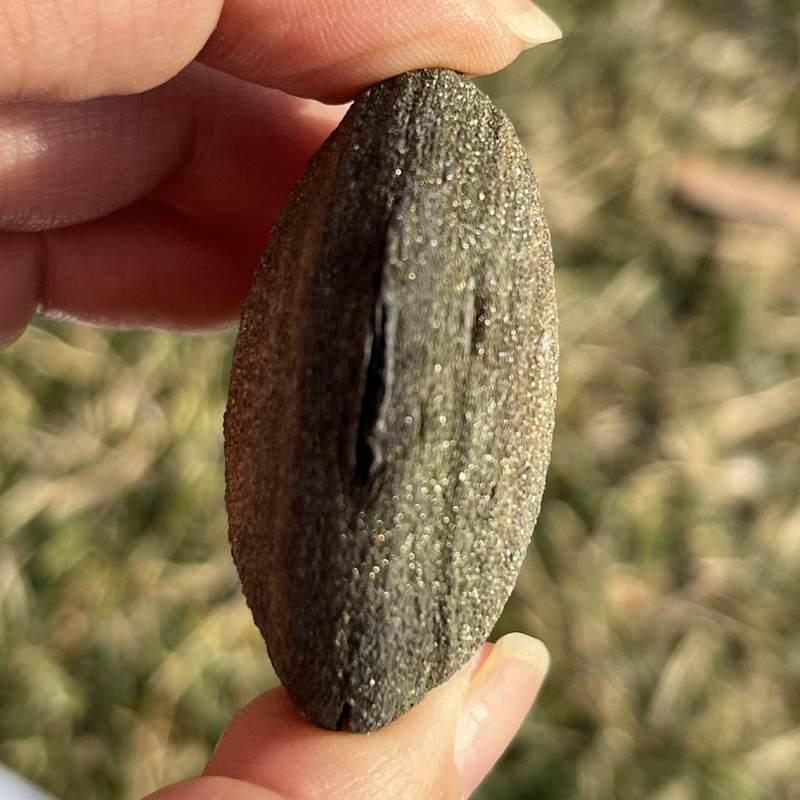 ボージーストーンペア　2　bojistone ボージーストーンペア 2 bojistone