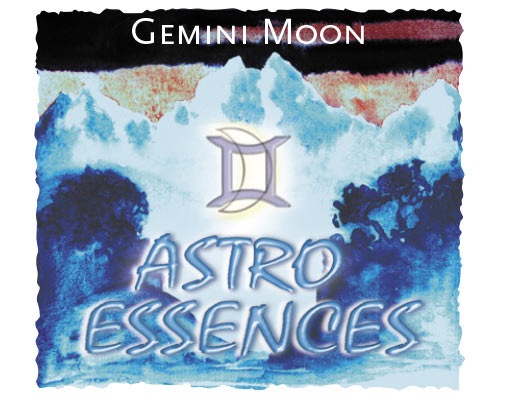 ふたご座[Gemini]『月』