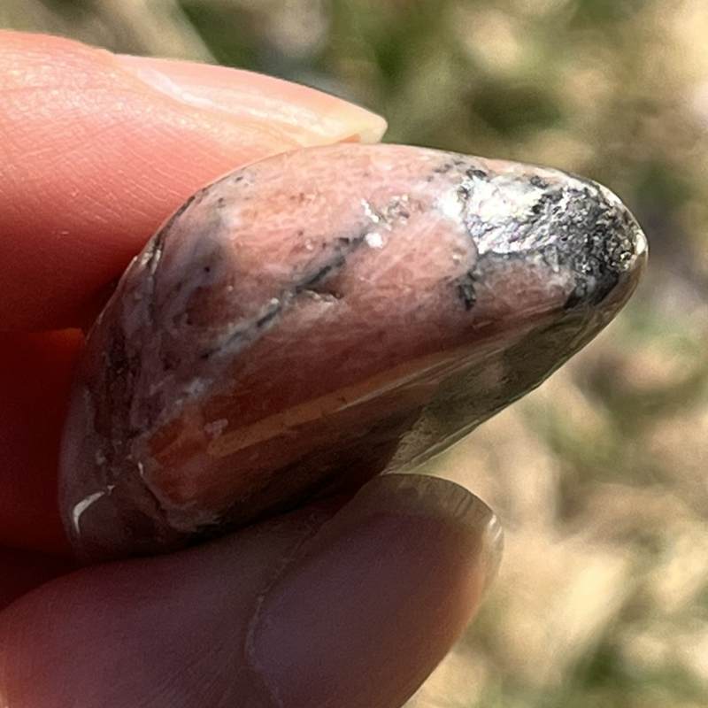 トリプライト・ワグネライト・ウィズ・ゴールデンパイライト・タンブル4