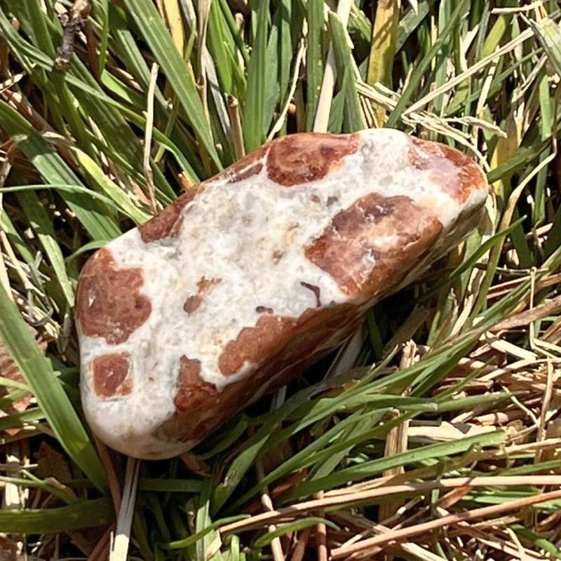 ガーネット・イン・ライムストーン・タンブル2