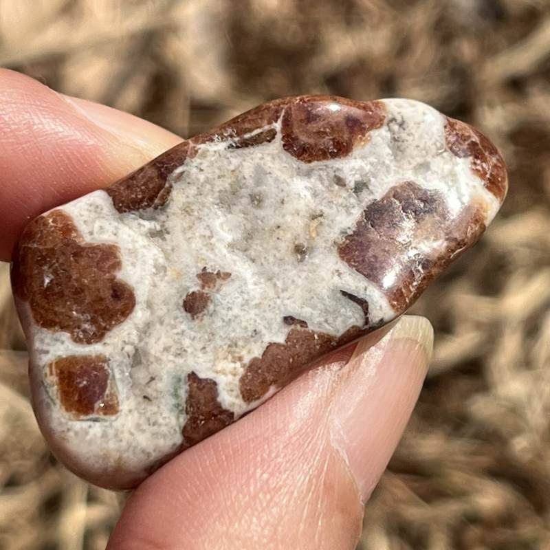 ガーネット・イン・ライムストーン・タンブル2