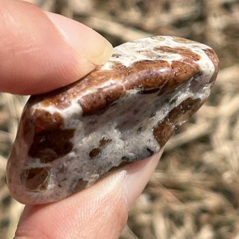 ガーネット・イン・ライムストーン・タンブル2