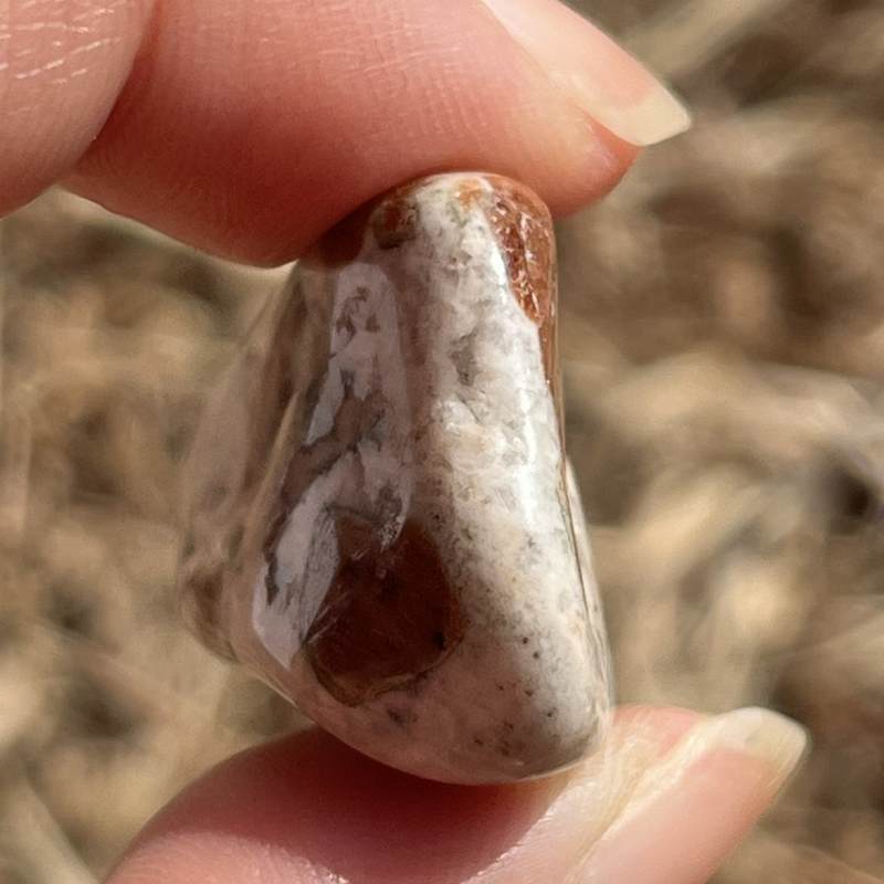 ガーネット・イン・ライムストーン・タンブル2