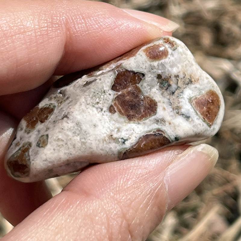 ガーネット・イン・ライムストーン・タンブル2