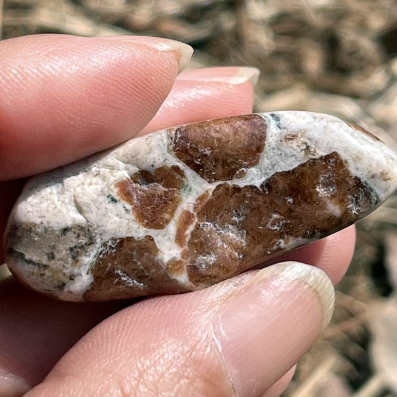 ガーネット・イン・ライムストーン・タンブル2