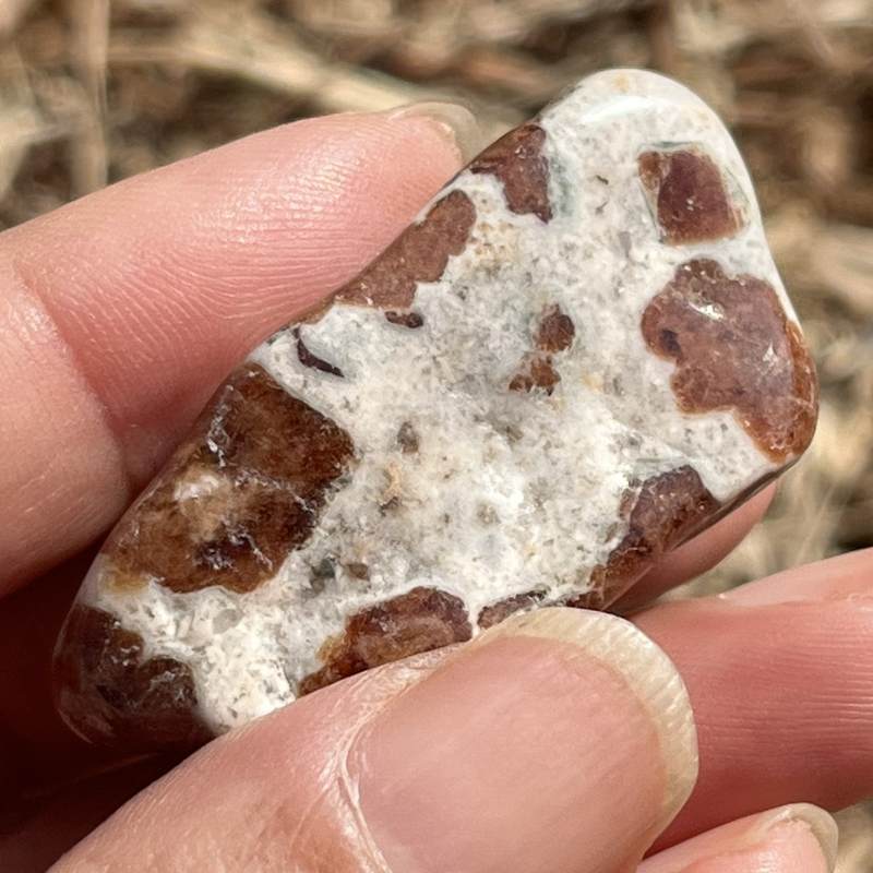 ガーネット・イン・ライムストーン・タンブル2