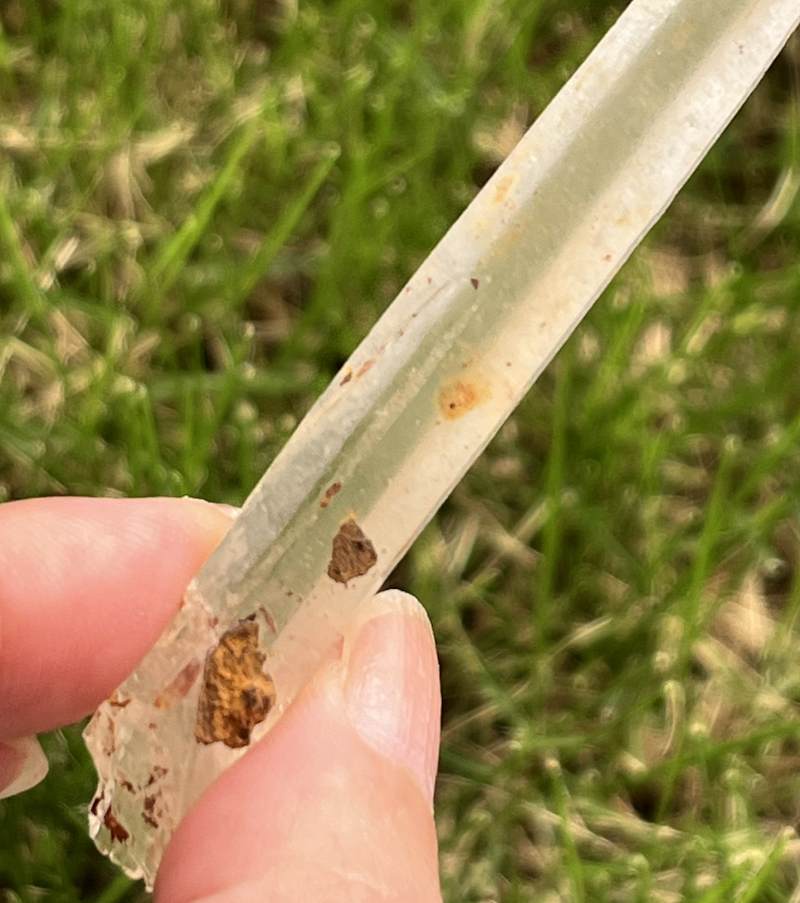 シンギングクォーツ・クリスタル(オレンジ）（メロディ・ガレージセール）2