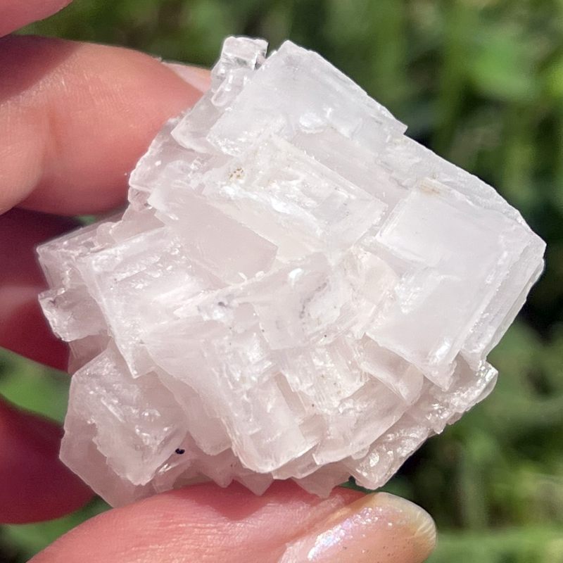 ピンク・ハーライト8（大）