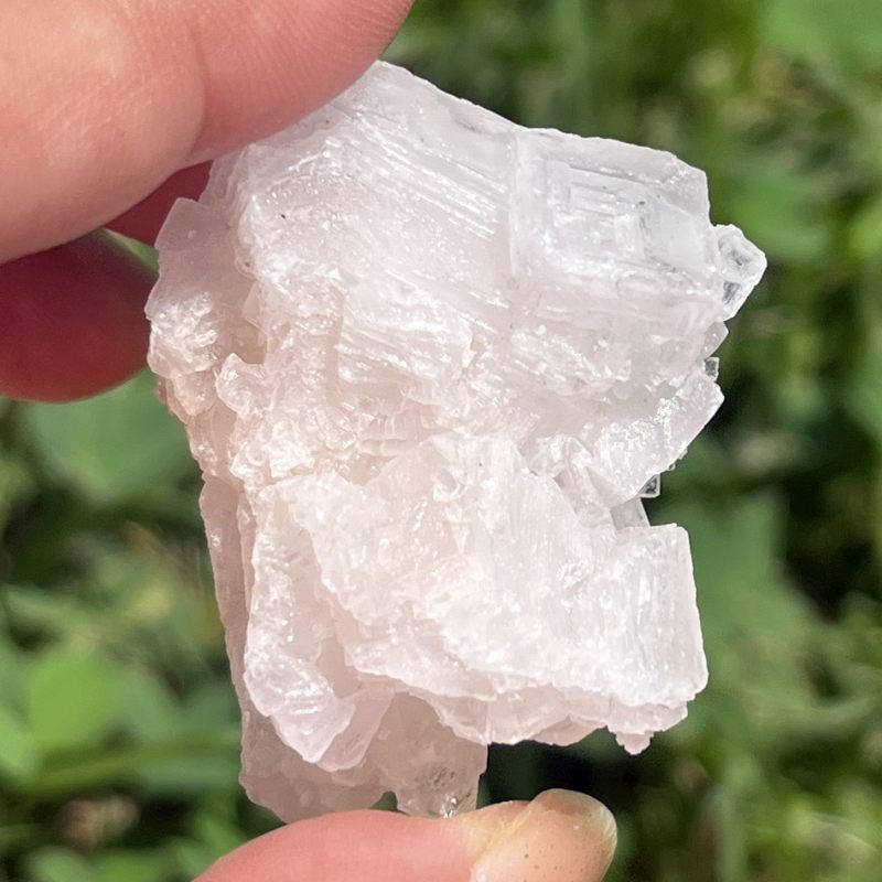 ピンク・ハーライト8（大）