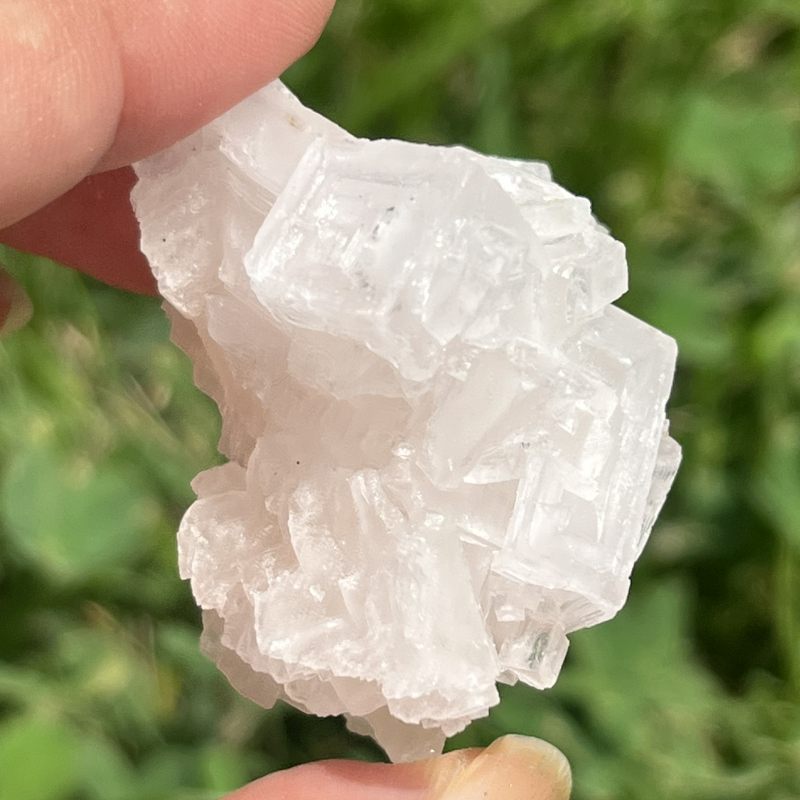 ピンク・ハーライト8（大）