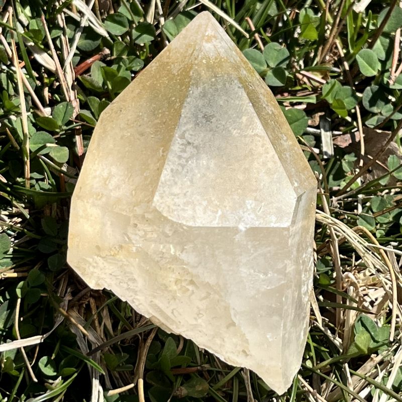 ゴールデンヒーラー・原石6大（セルフヒールド、アバンダンス）