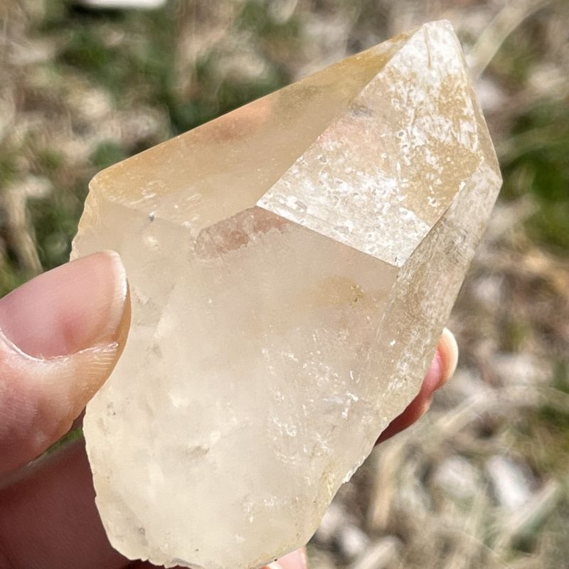 ゴールデンヒーラー・原石6大（セルフヒールド、アバンダンス）