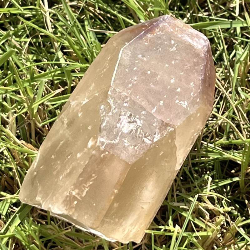 ライトゴールデン・ドリームコート・レムリアン原石ポイント3（タビー）