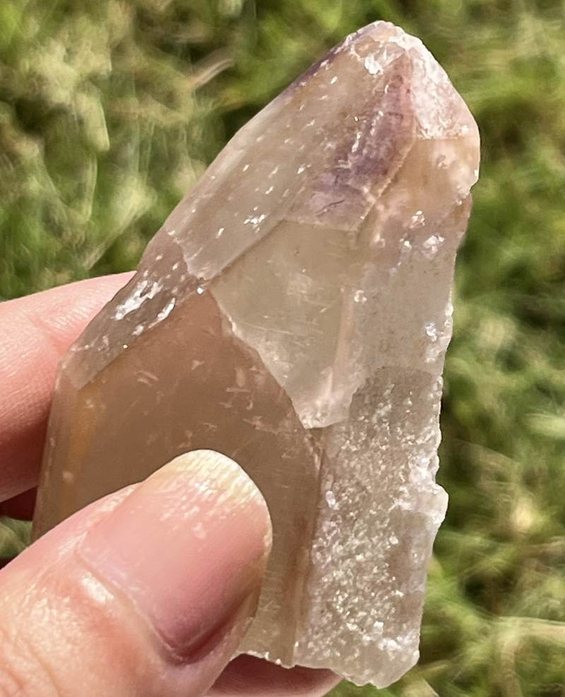 ライトゴールデン・ドリームコート・レムリアン原石ポイント3（タビー）