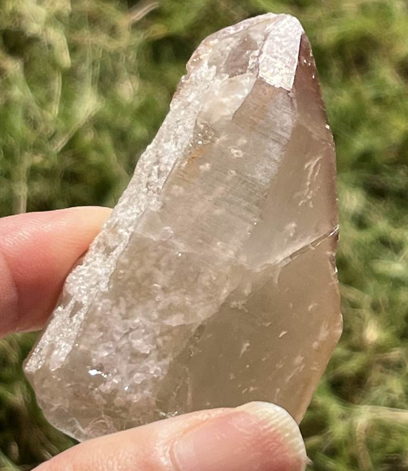 ライトゴールデン・ドリームコート・レムリアン原石ポイント3（タビー）