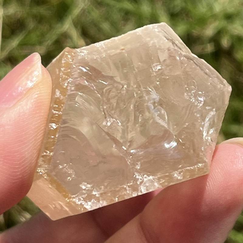 ライトゴールデン・ドリームコート・レムリアン原石ポイント3（タビー）