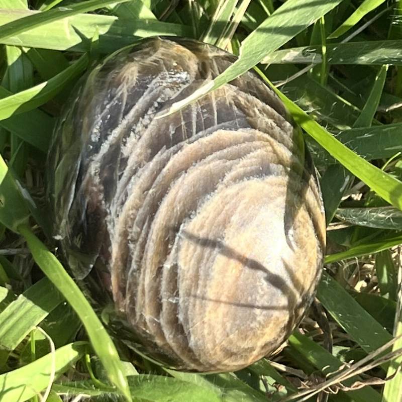 ブラックムーンストーン・大きめ円形ポリッシュ3