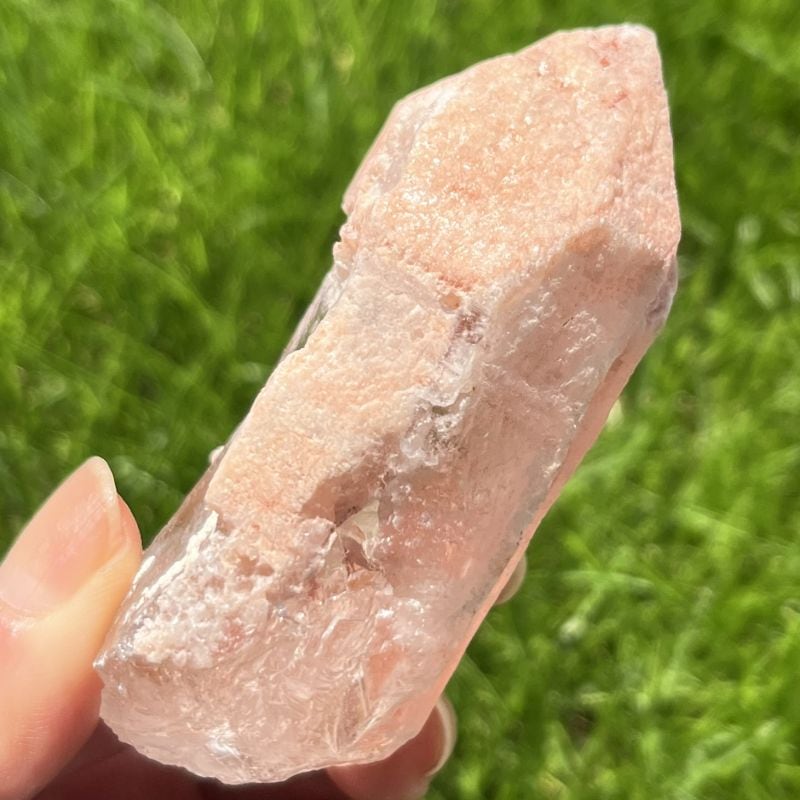 ドリームシクル・レムリアンシード2