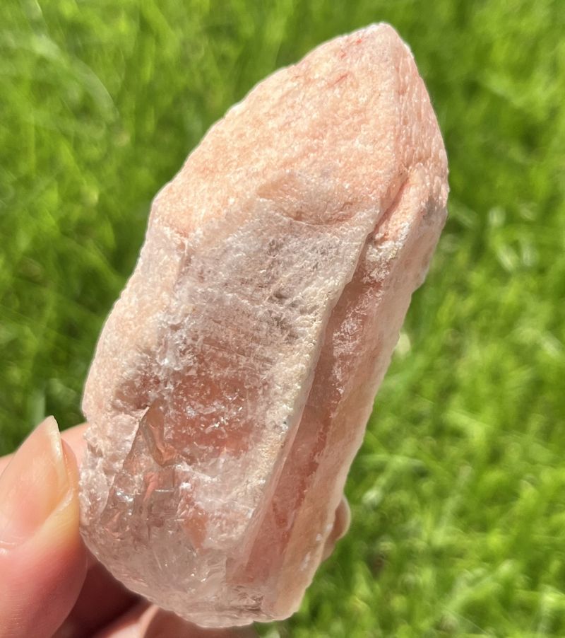 ドリームシクル・レムリアンシード2