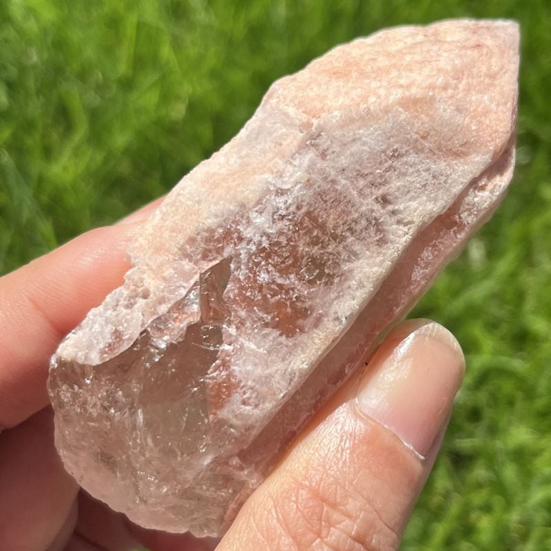 ドリームシクル・レムリアンシード2