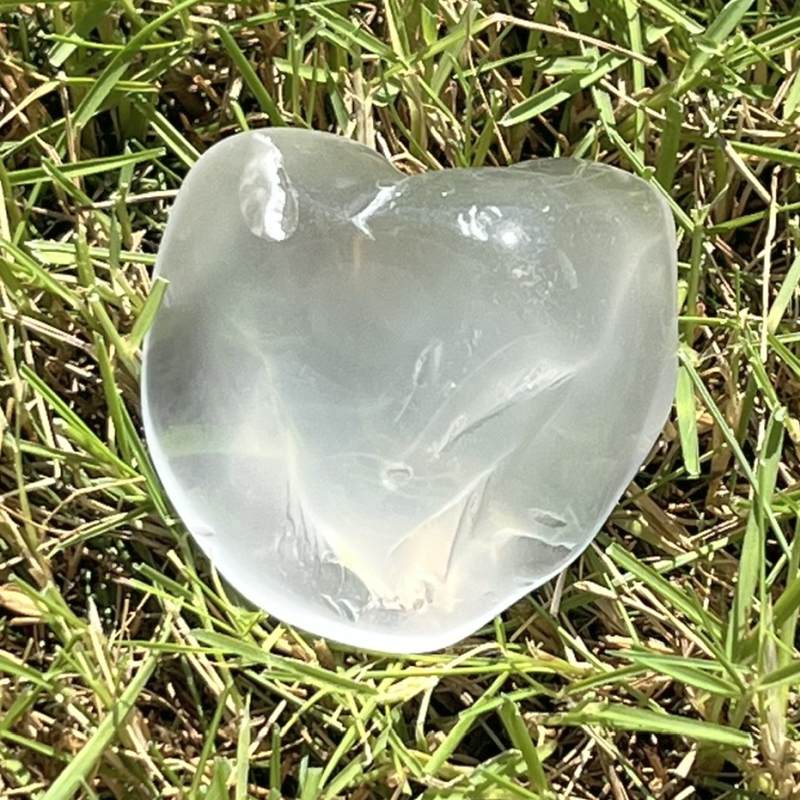 メタモルフォシス・タンブル9