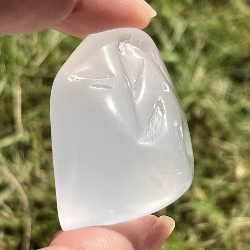 メタモルフォシス・タンブル9