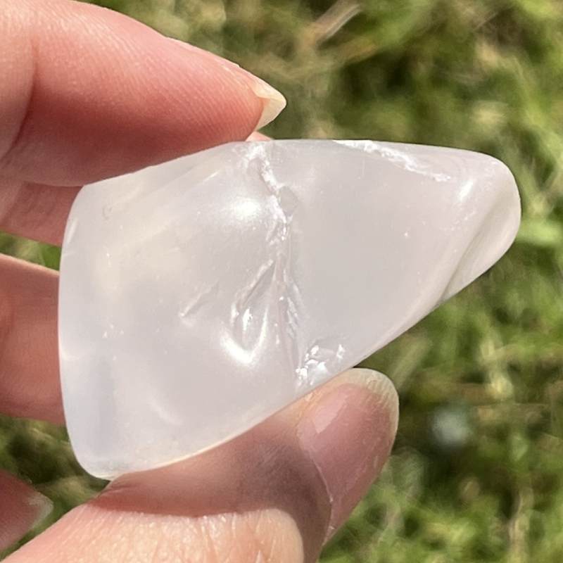 メタモルフォシス・タンブル9