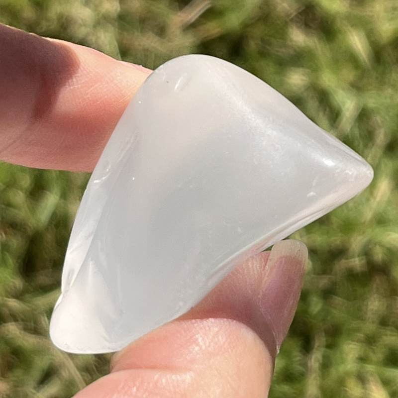 メタモルフォシス・タンブル9