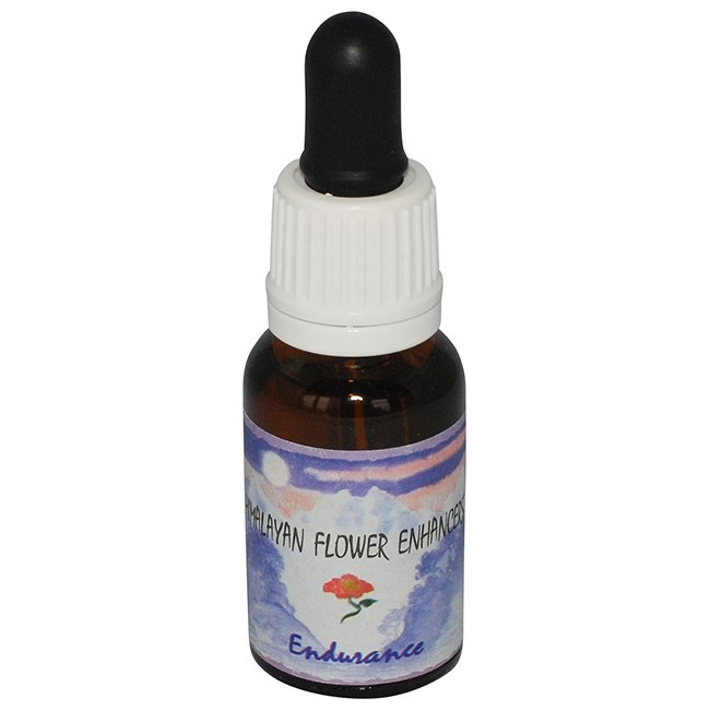 エンデュランス[Endurance]