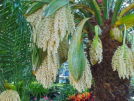 エンデュランス[Endurance]