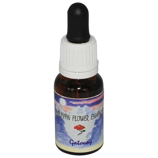 ゲートウェイ[Gateway]