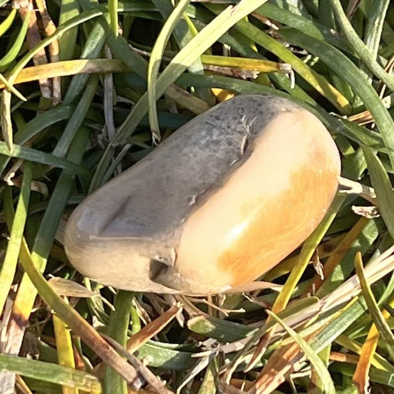 エンジェル・ファントムクォーツ・タンブル3