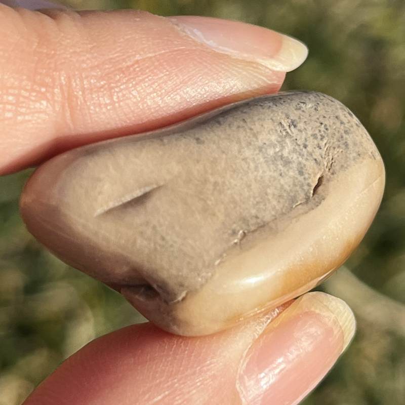 エンジェル・ファントムクォーツ・タンブル3