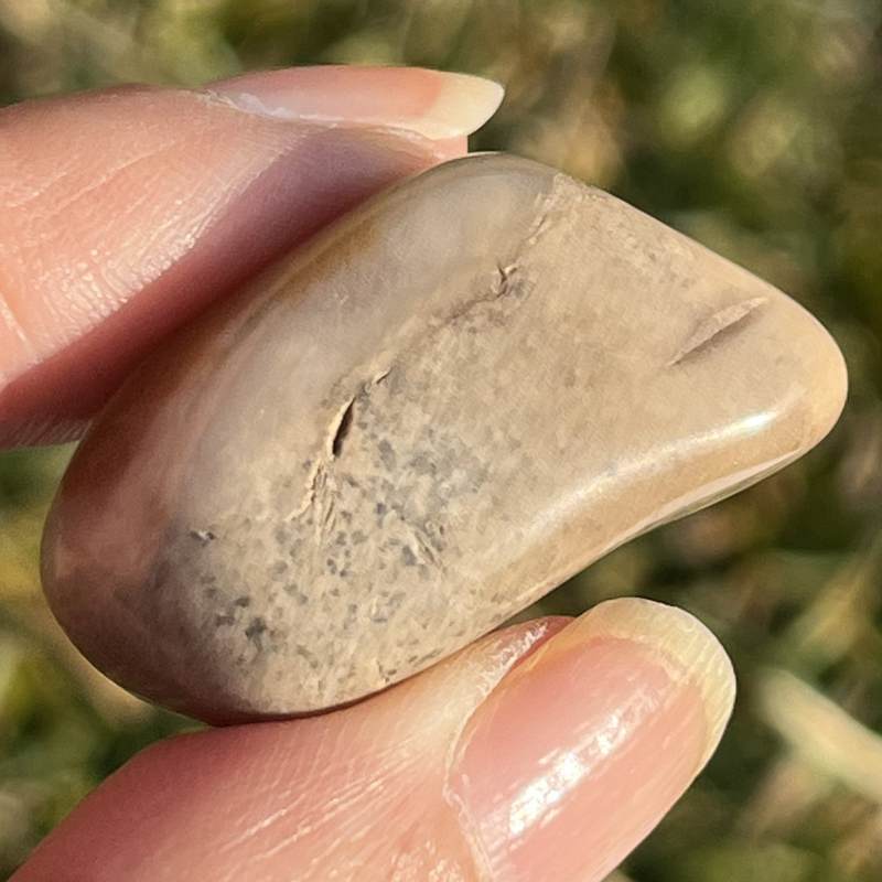 エンジェル・ファントムクォーツ・タンブル3