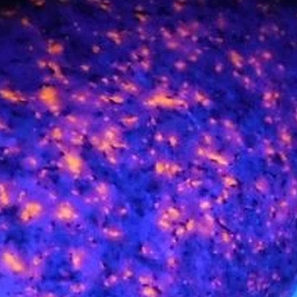 ユーパーライト・タンブル8