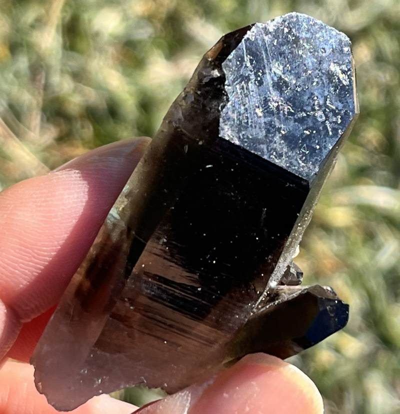 モリオン 原石　/ 黒水晶　クリスタル モリオン（黒水晶）原石ポイント8（セルフヒールド、アバンダンス）