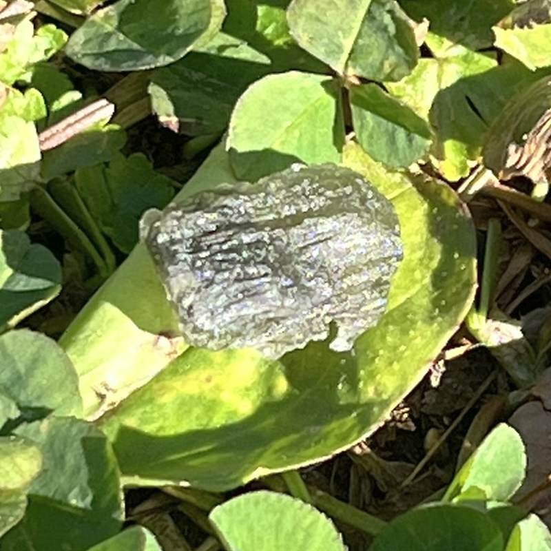 モルダバイト原石3