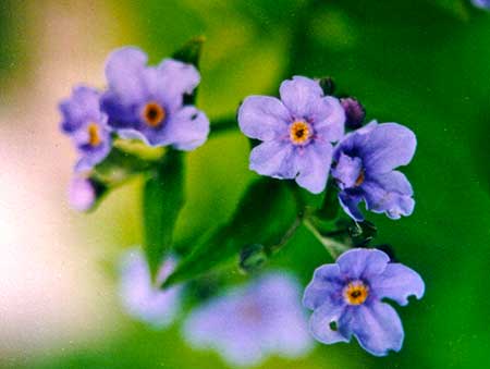 レットゴー[Let Go]