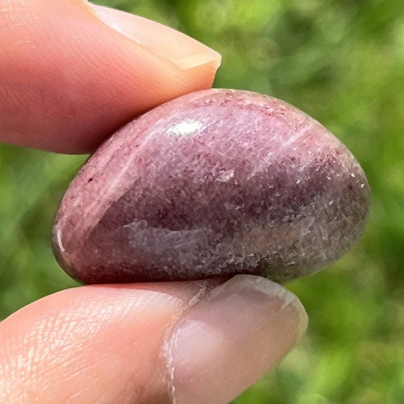 チューライト・タンブル7