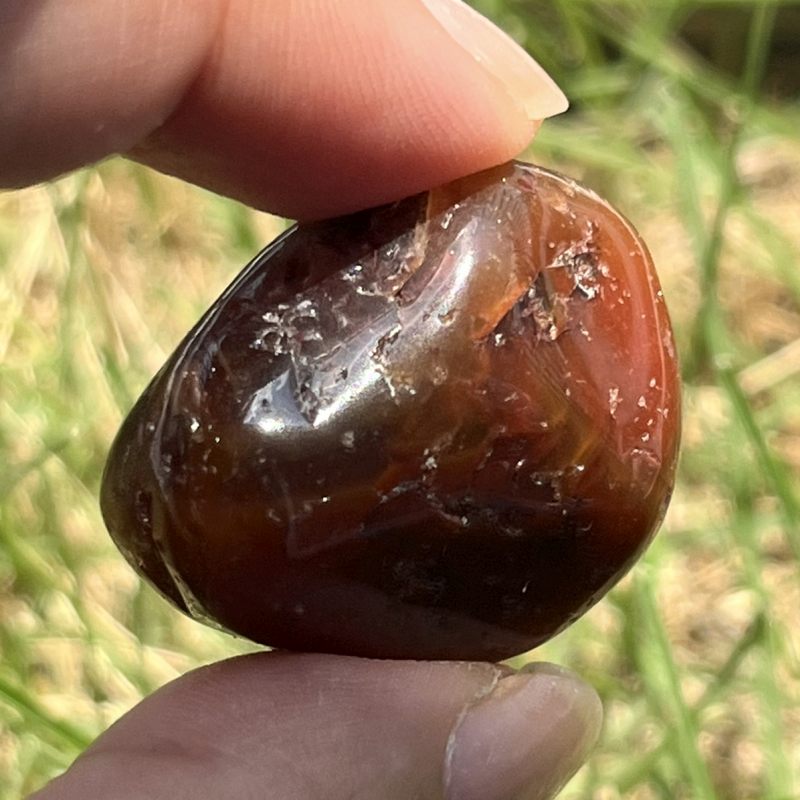 ドリームコート・レムリアン・タンブル6