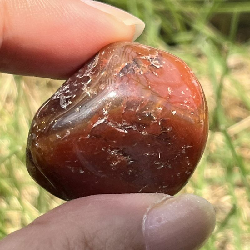 ドリームコート・レムリアン・タンブル6