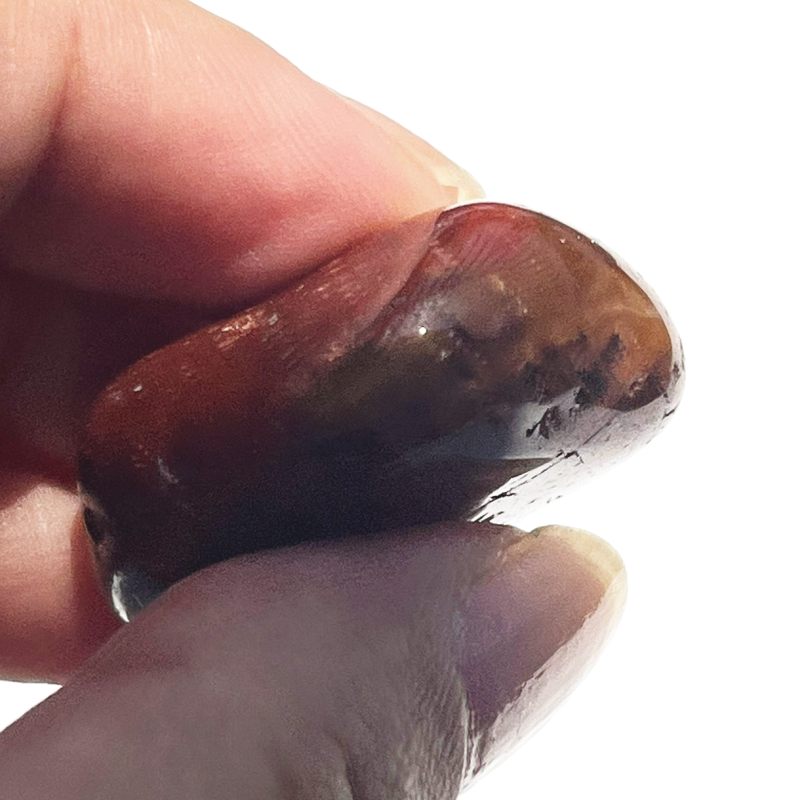 ドリームコート・レムリアン・タンブル6